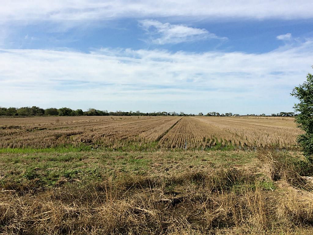 000 CR 277, Lissie, TX 77454