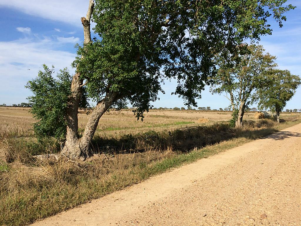 000 CR 277, Lissie, TX 77454
