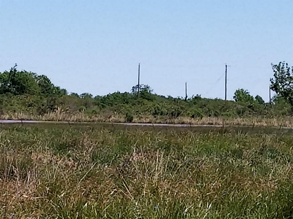 0000000 County Rd 248, Lissie, TX 77454