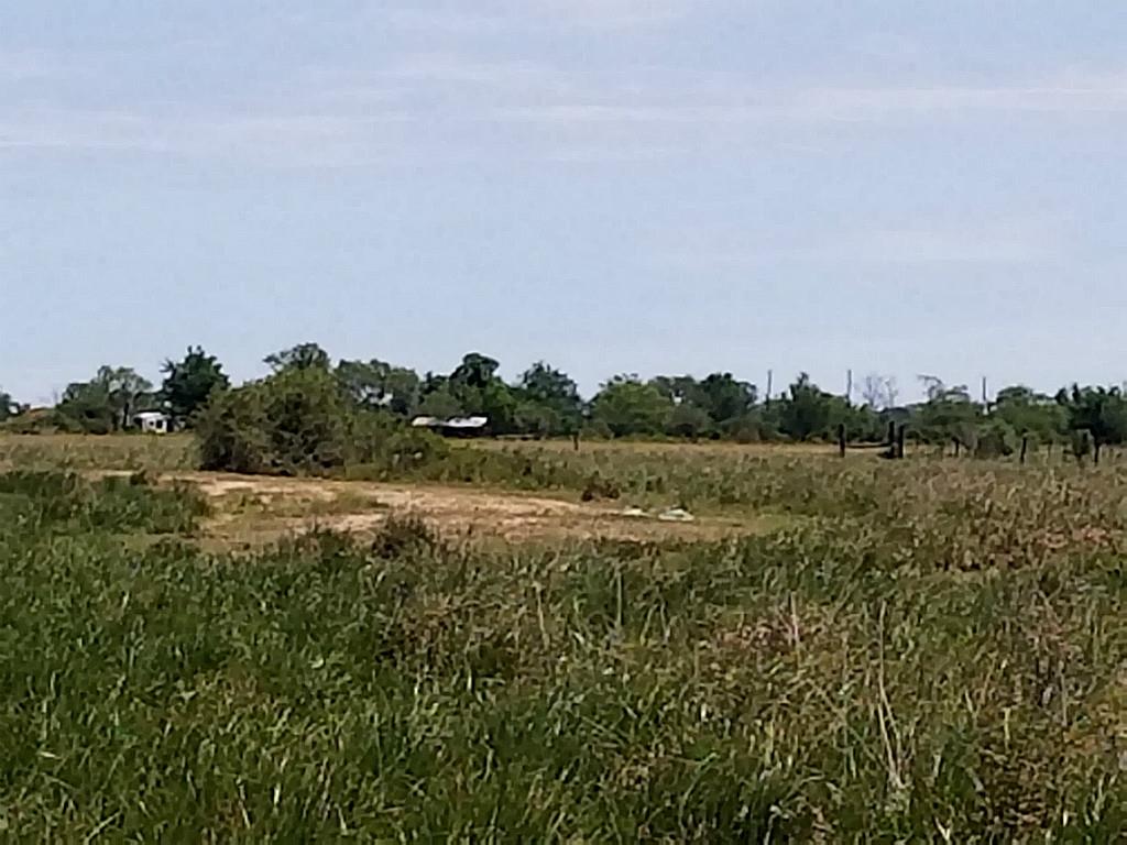 0000000 County Rd 248, Lissie, TX 77454