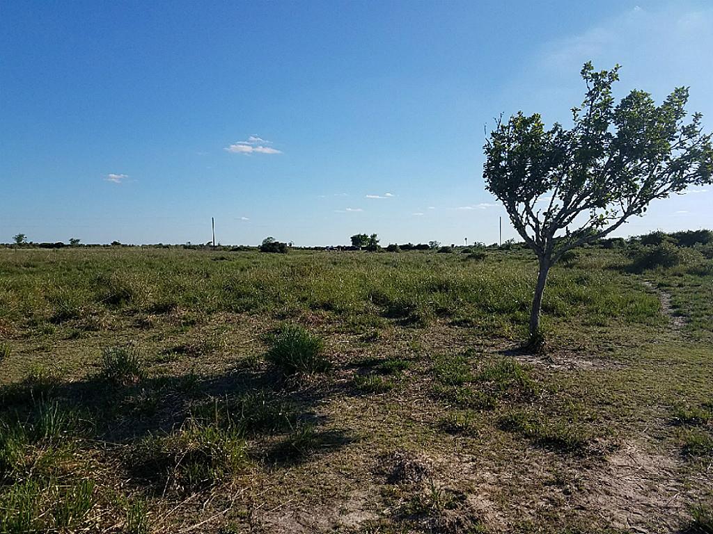 0000000 County Rd 248, Lissie, TX 77454