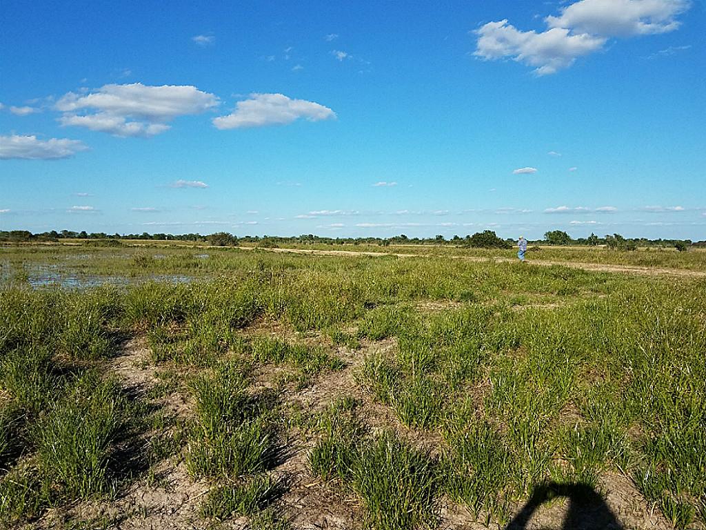 0000000 County Rd 248, Lissie, TX 77454