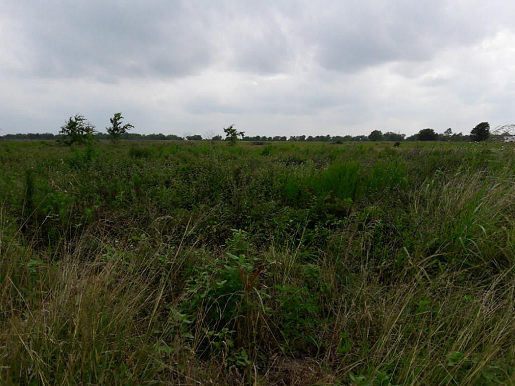 000 HWY 90-A, Lissie, TX 77454