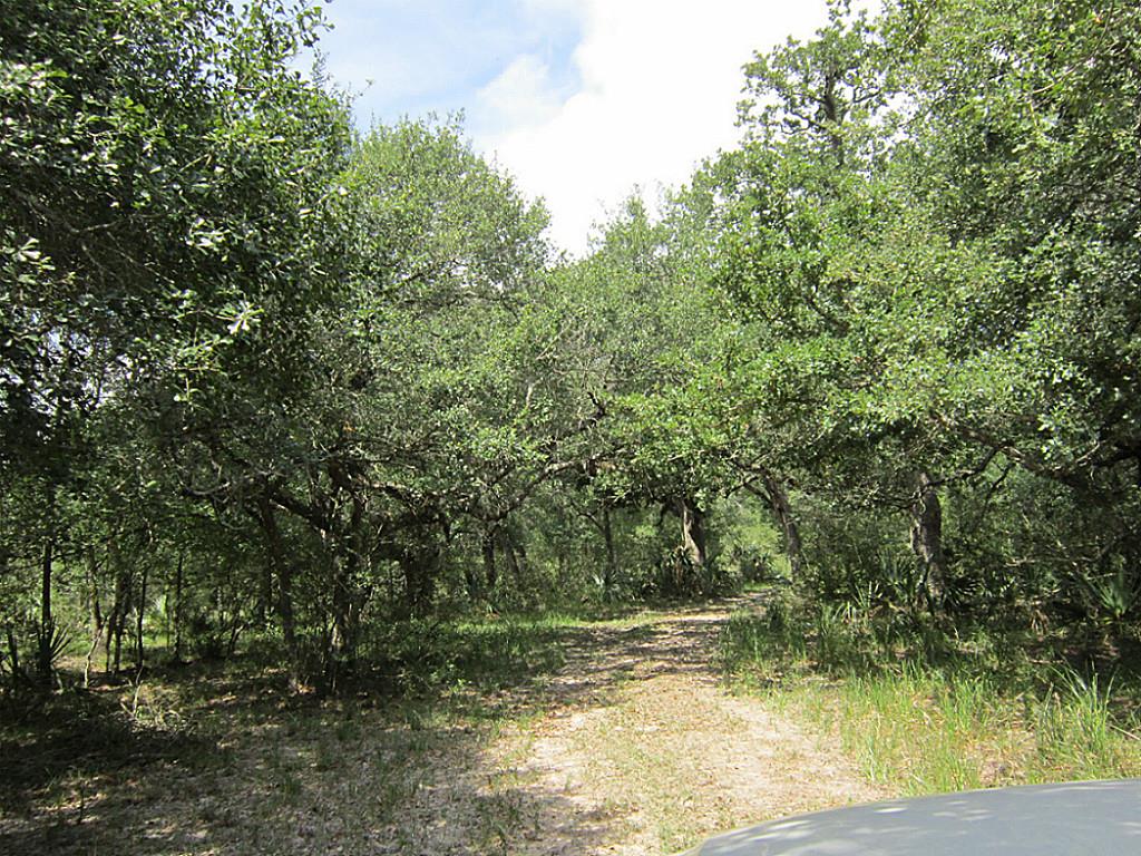 00 County Rd 319, Louise, TX 77455