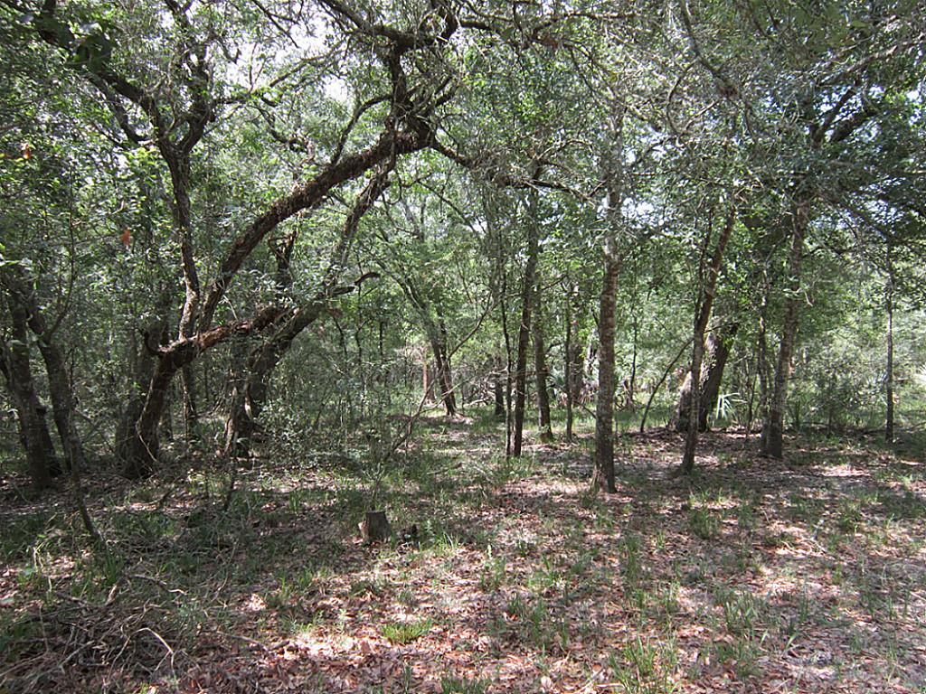 00 County Rd 319, Louise, TX 77455