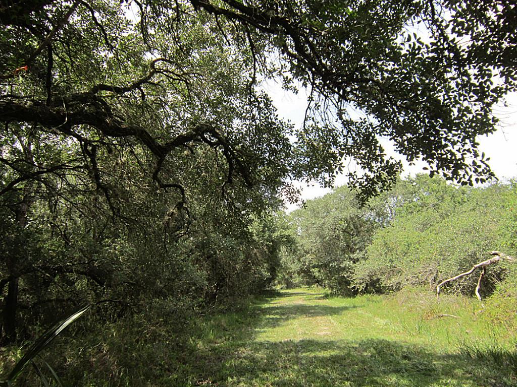 00 County Rd 319, Louise, TX 77455