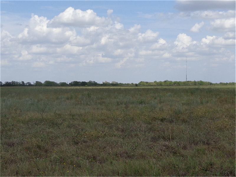 2676 Harrison, Sealy, TX 77474