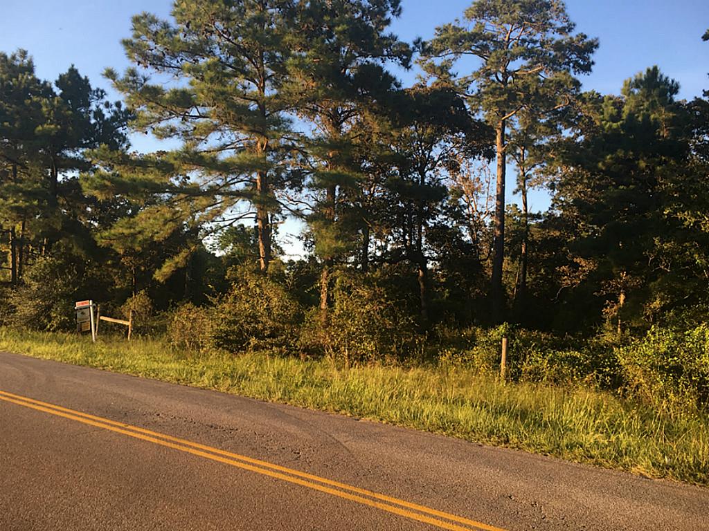0 Riley Road, Plantersville, TX 77484