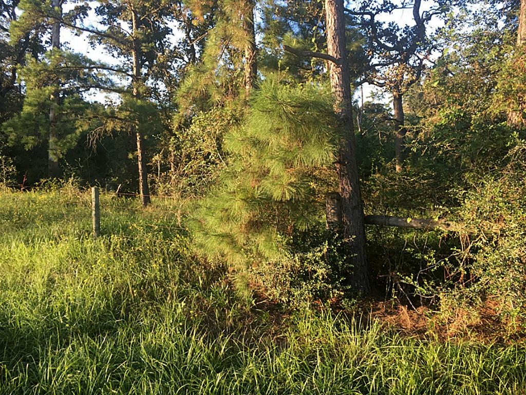 0 Riley Road, Plantersville, TX 77484