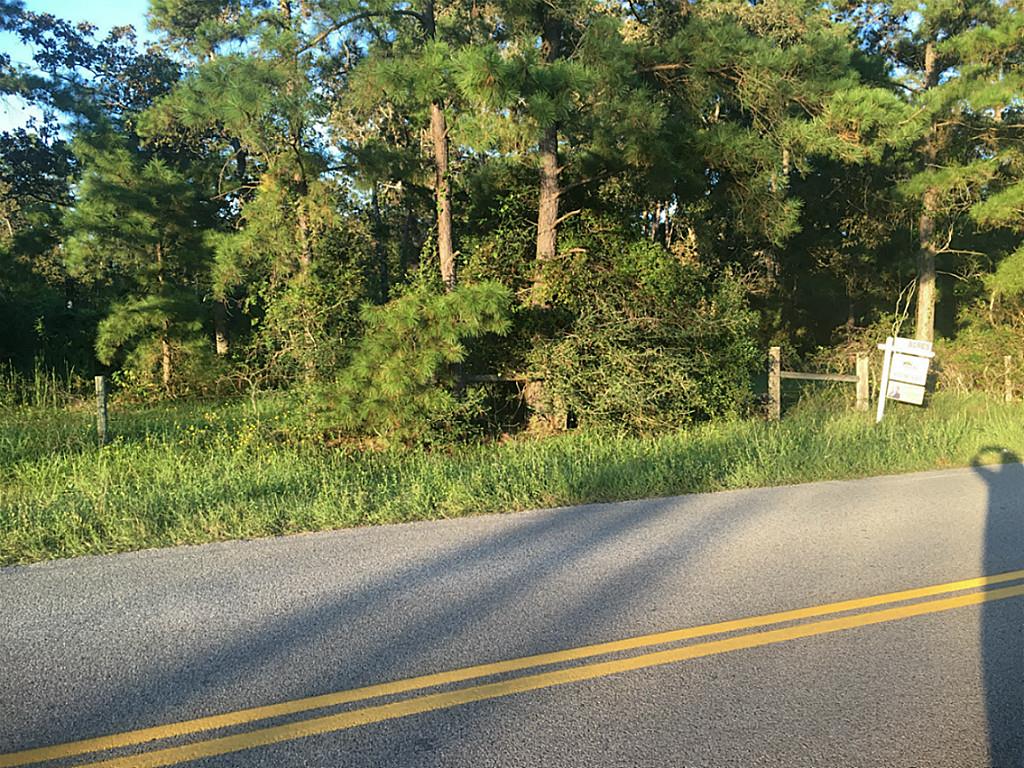 0 Riley Road, Plantersville, TX 77484
