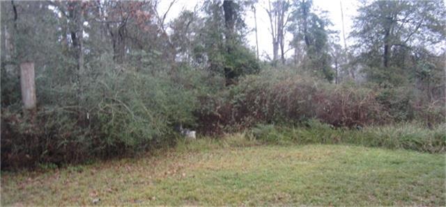 7643 Julianne Drive, Waller, TX 77484