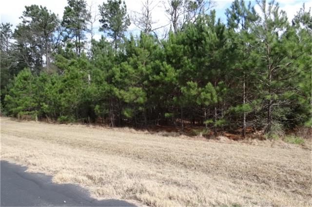 7643 Julianne Drive, Waller, TX 77484