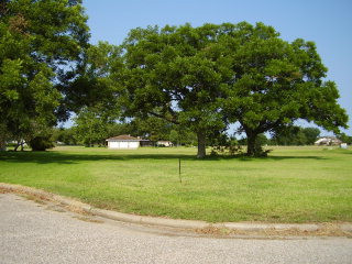 2530 LAKESIDE DRIVE, West Columbia, TX 77486