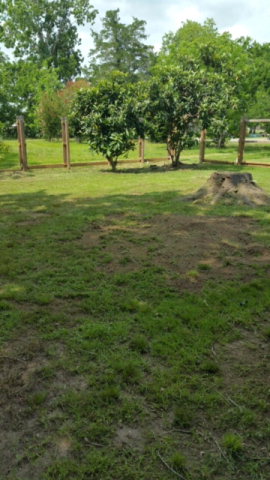 1900 SHANKS, Angleton, TX 77515