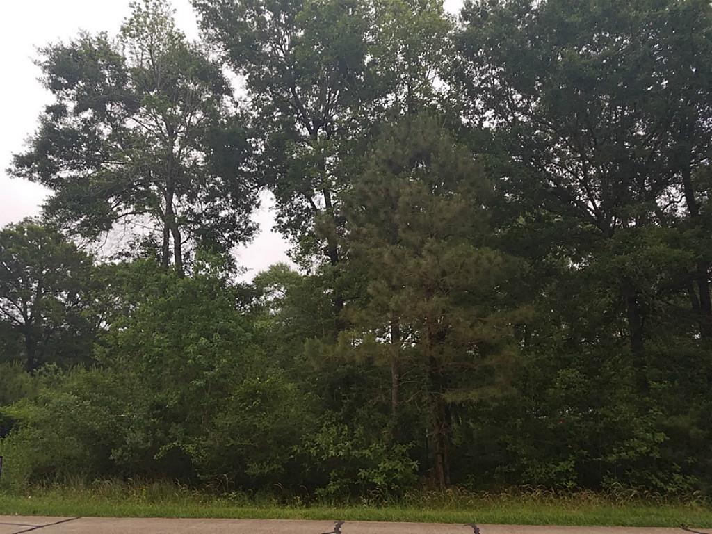00 Timber Rdg, Old River-Winfree, TX 77523