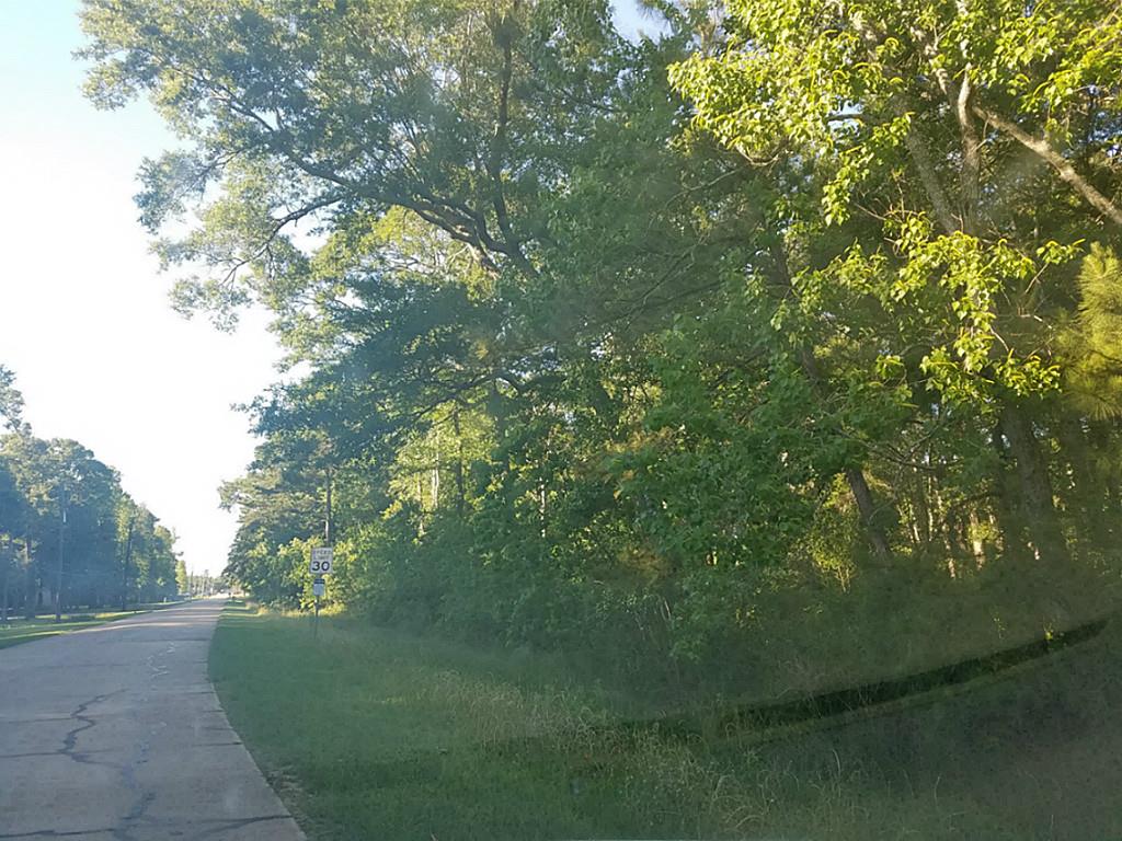00 Timber Rdg, Old River-Winfree, TX 77523