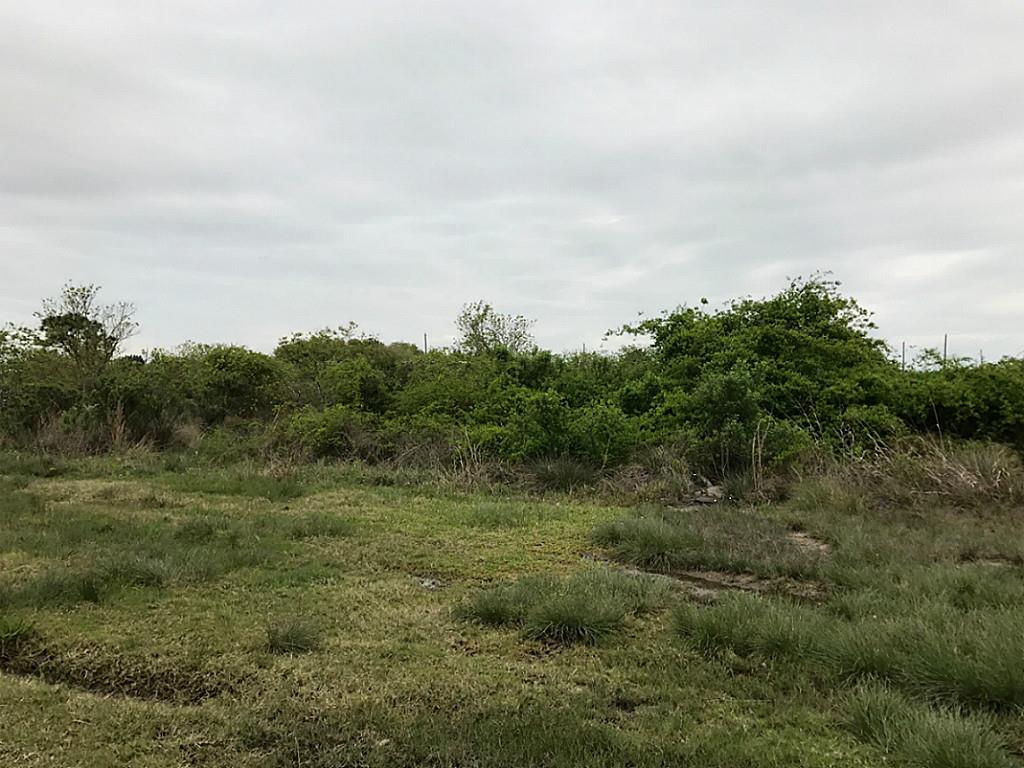 29-30 blk 118, San Leon, TX 77539