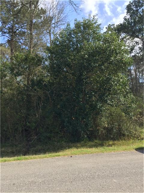 0001 Unnamed, Dickinson, TX 77539