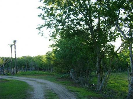 0 Lynee Lane, Fresno, TX 77545