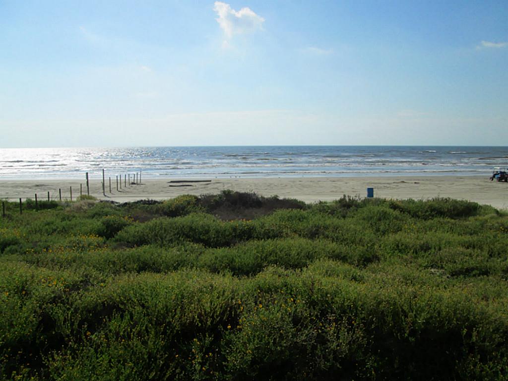 16617 Jamaica Beach Road, Galveston, TX 77554