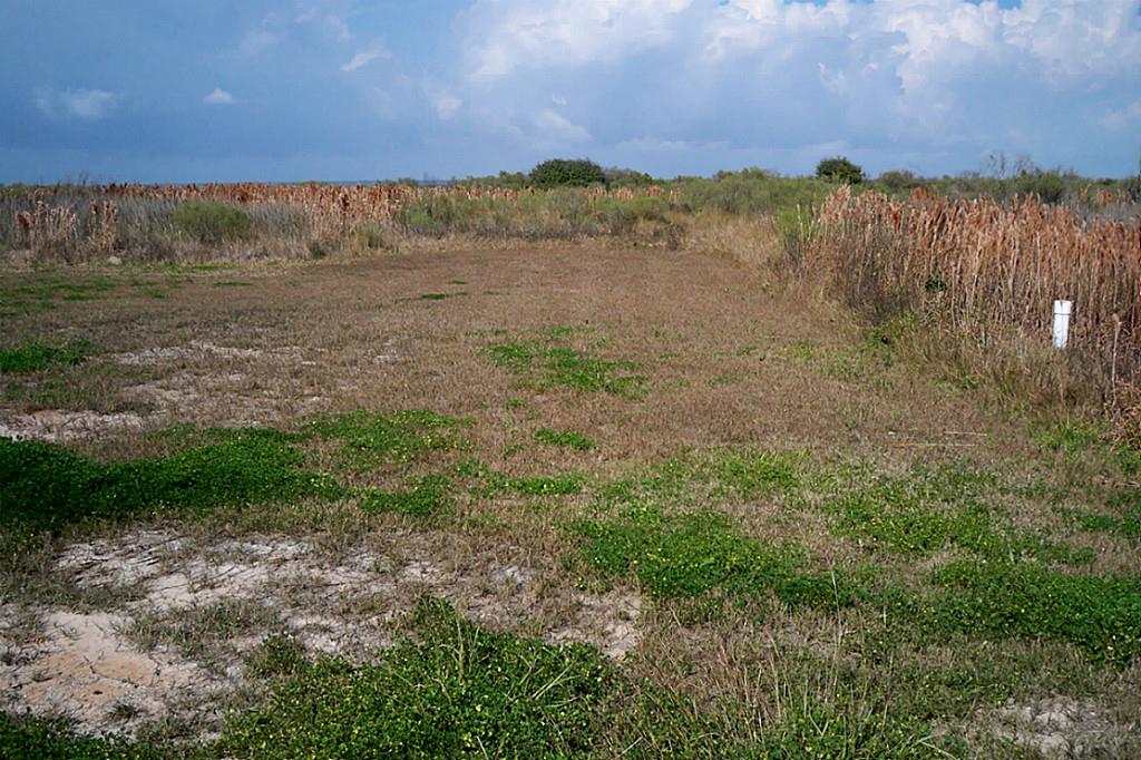 26102 Bay Breeze Drive, Galveston, TX 77554