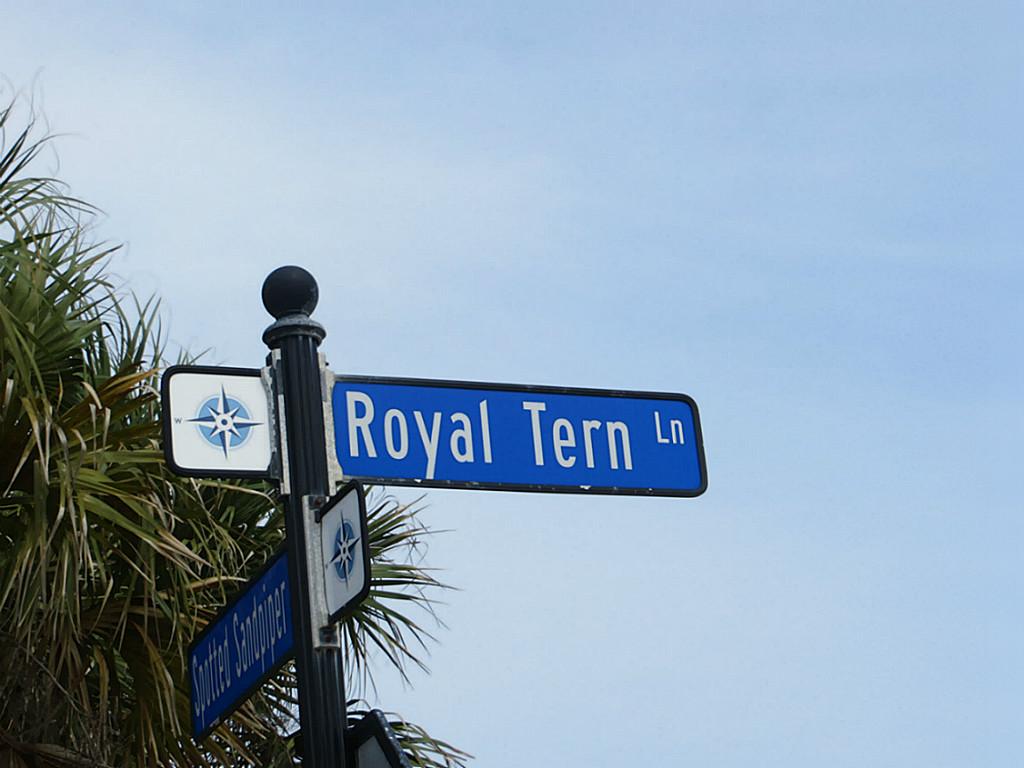 4123 Royal Tern Lane, Galveston, TX 77554