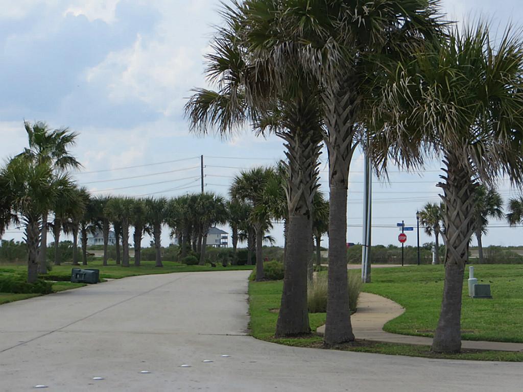 4123 Royal Tern Lane, Galveston, TX 77554