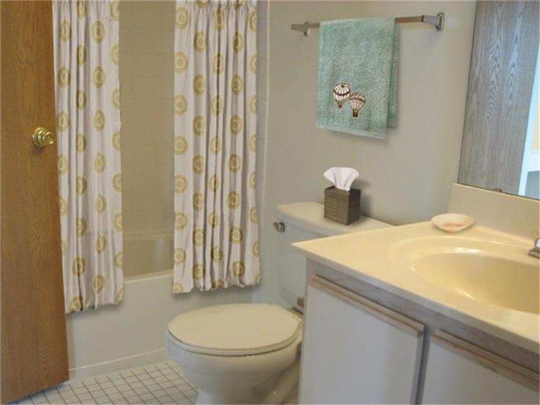 5809 Delany Road, Hitchcock, TX 77563