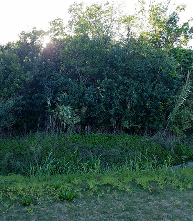 1500 S Broadway Street, La Porte, TX 77571
