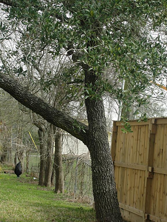 607 Shadylawn Street, La Porte, TX 77571