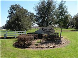 16502 Tankersley Court, Rosharon, TX 77583