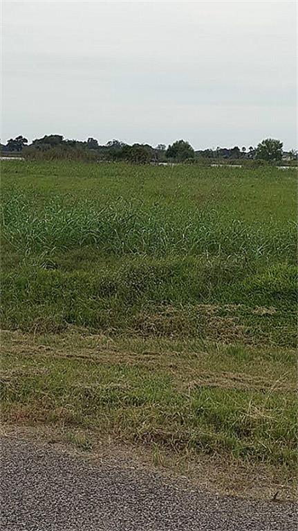 16502 Tankersley Court, Rosharon, TX 77583