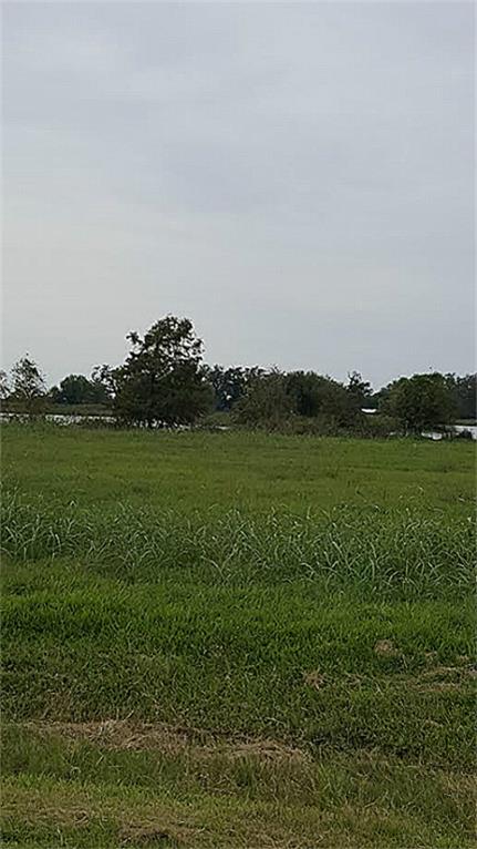 16502 Tankersley Court, Rosharon, TX 77583