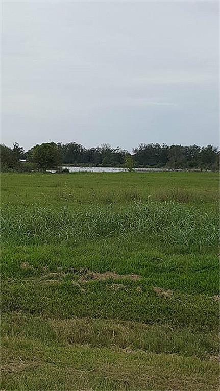 16502 Tankersley Court, Rosharon, TX 77583