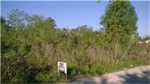 0 Dolores Street, Rosharon, TX 77583