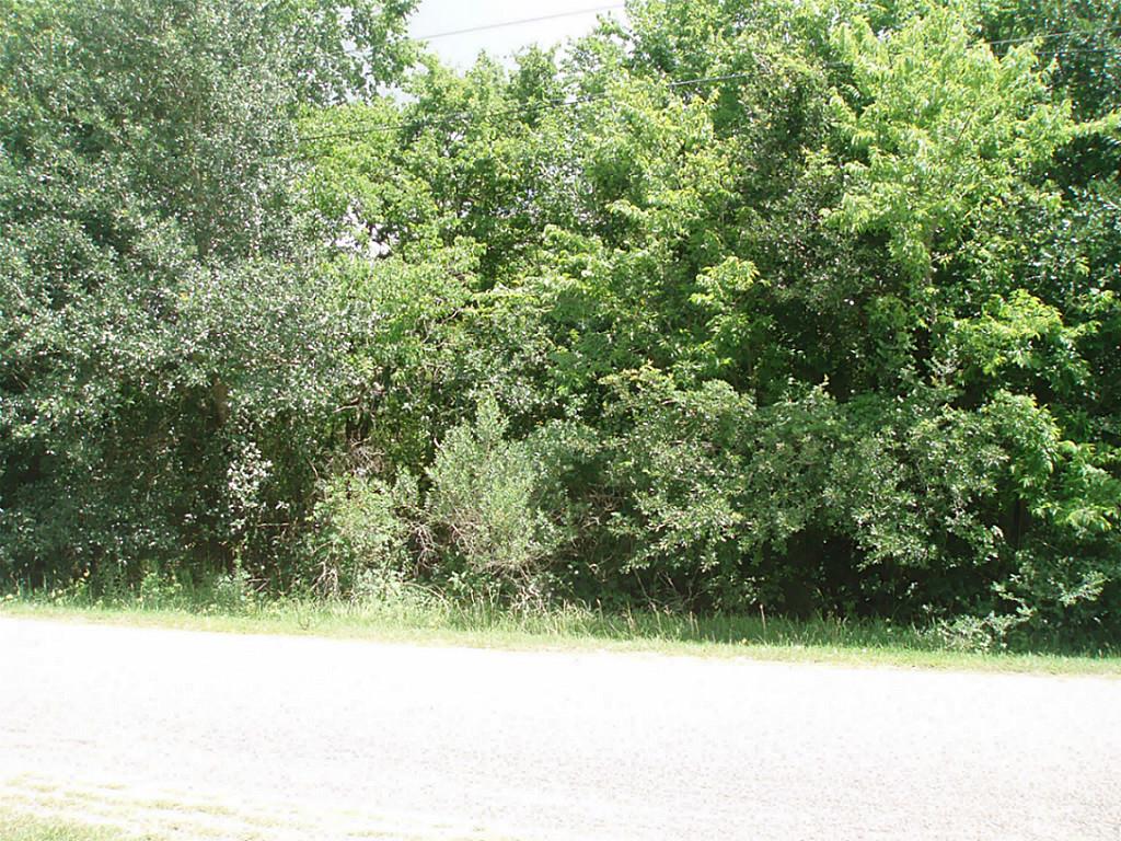 0 Herbert Dr County Road 119, Pearland, TX 77584