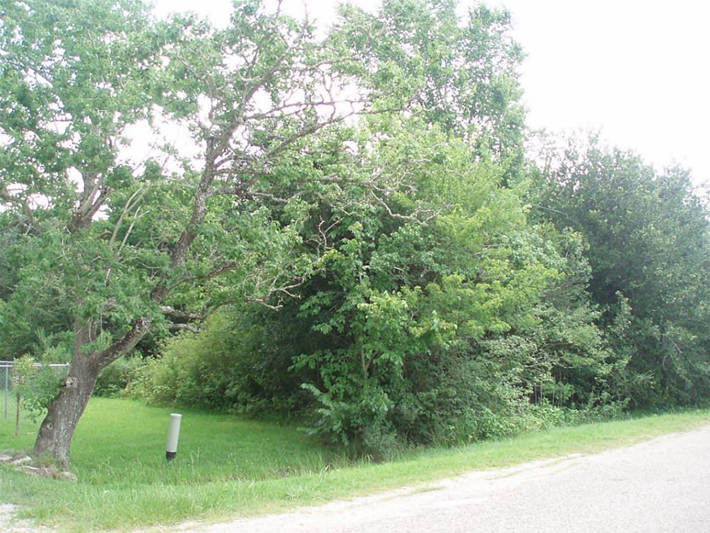 0 Herbert Dr County Road 119, Pearland, TX 77584
