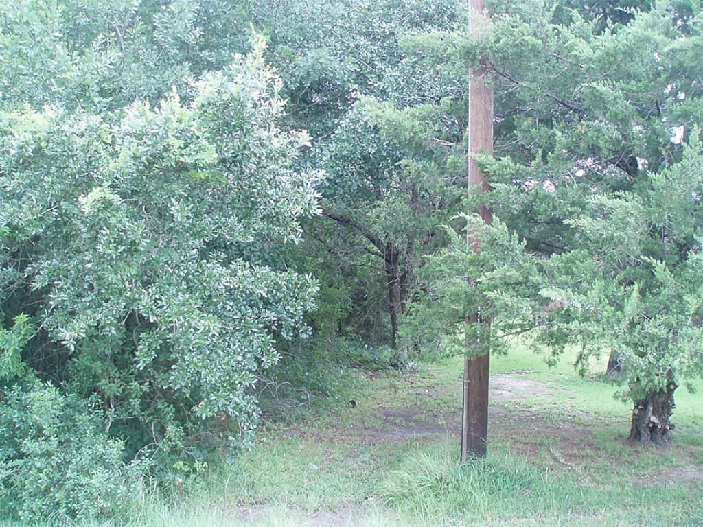 0 Herbert Dr County Road 119, Pearland, TX 77584