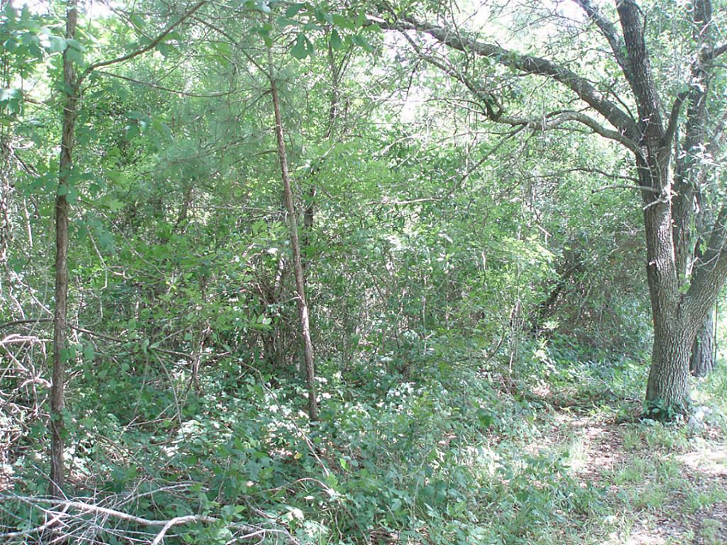 0 Herbert Dr County Road 119, Pearland, TX 77584