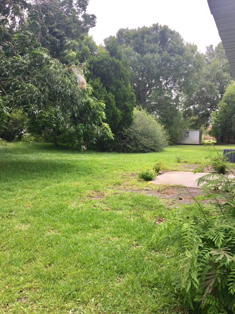 6224 Garnet Ave, Port Acres, TX 77640