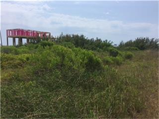 2056 Hwy 87, Crystal Beach, TX 77650