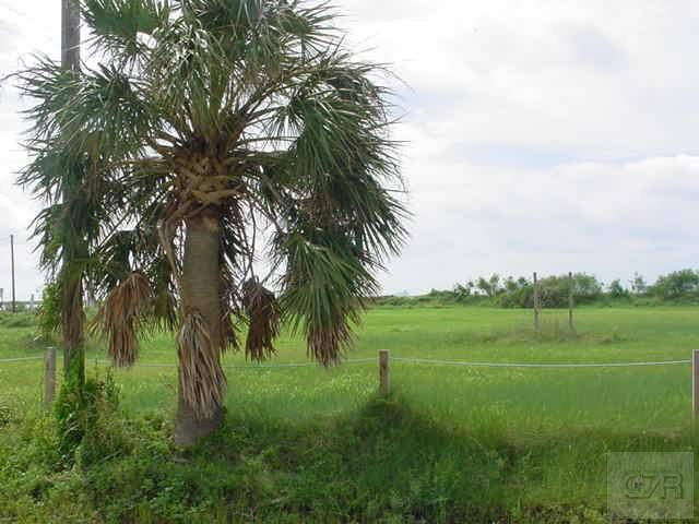 000 Galveston, Bolivar Peninsula, TX 77650