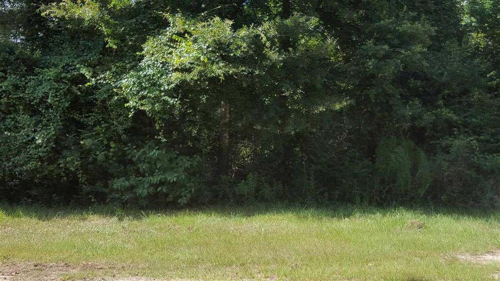 000 Spillers Road, Lumberton, TX 77657