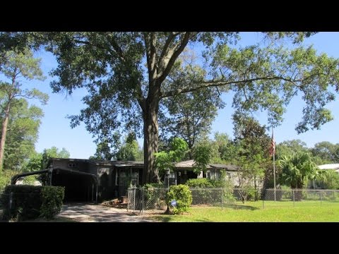 136 Carolina, Lumberton, TX 77657