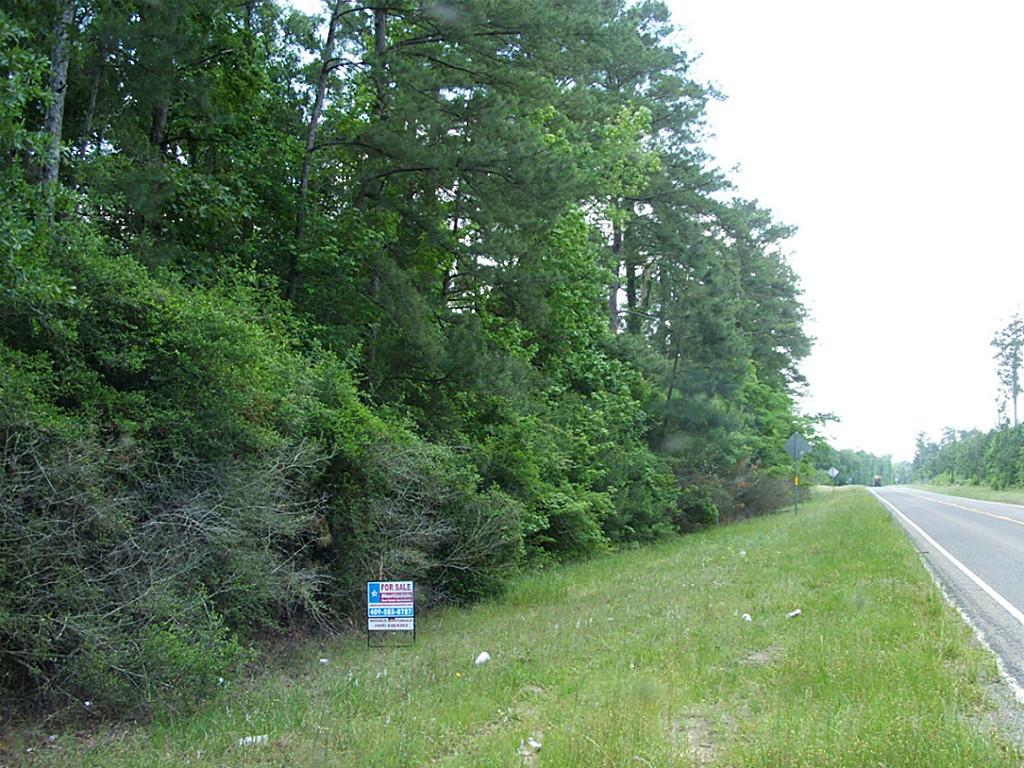 Tbd US HWY 92, Spurger, TX 77660