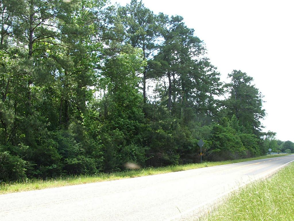 Tbd US HWY 92, Spurger, TX 77660