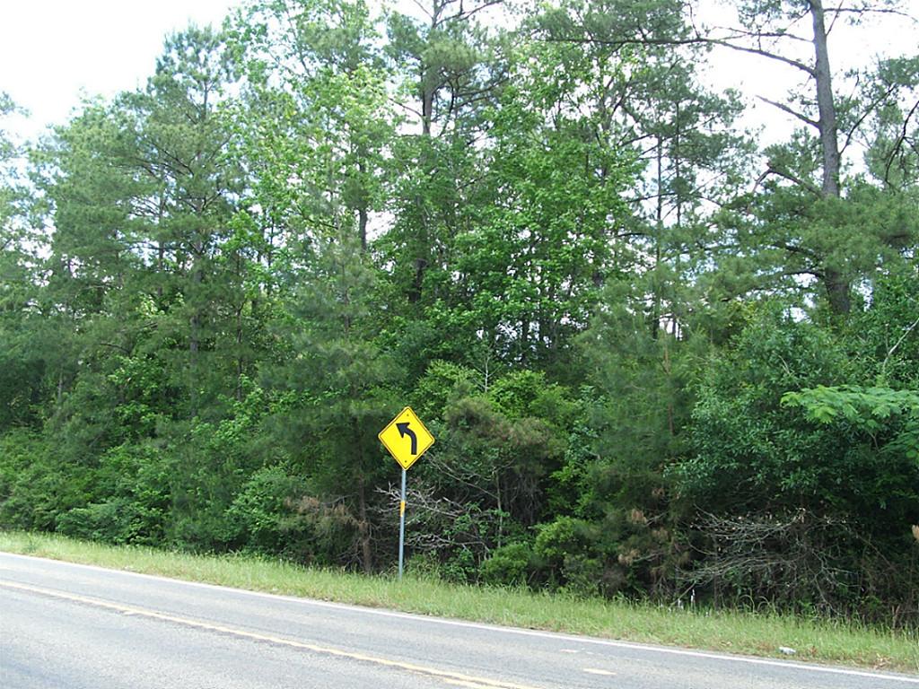 Tbd US HWY 92, Spurger, TX 77660