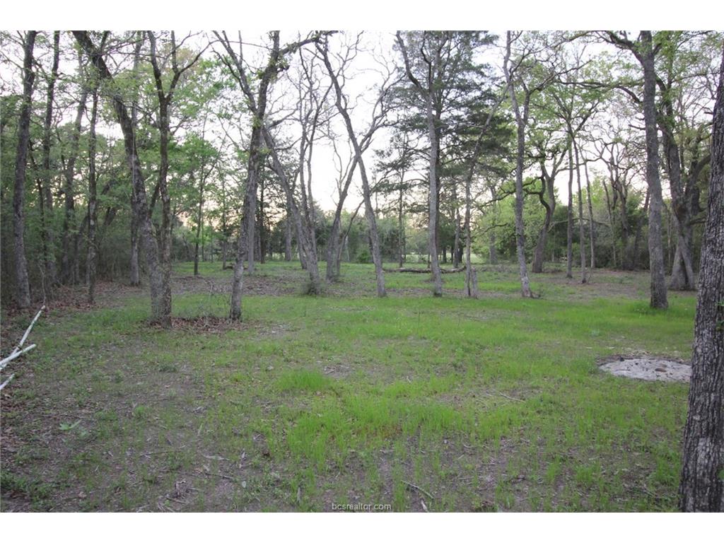 11446 Woody Lane County Road, Bryan, TX 77807