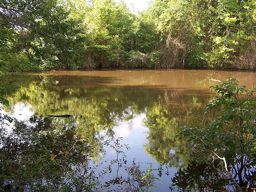 10 Ac Morgan Road, Bedias, TX 77831