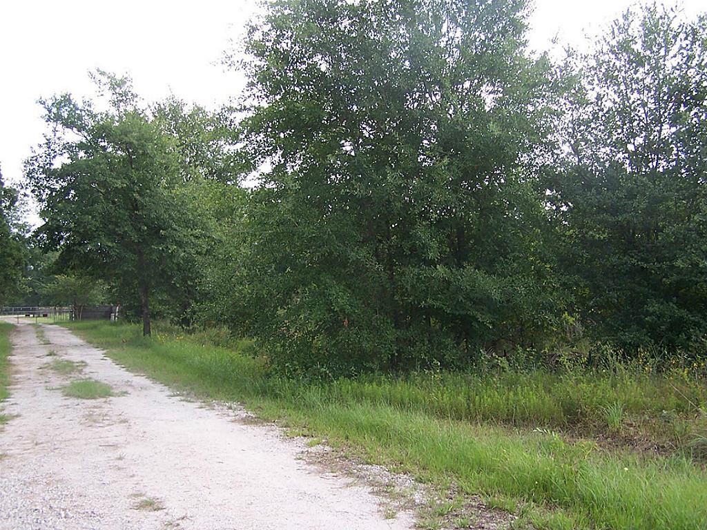 10 Ac Morgan Road, Bedias, TX 77831
